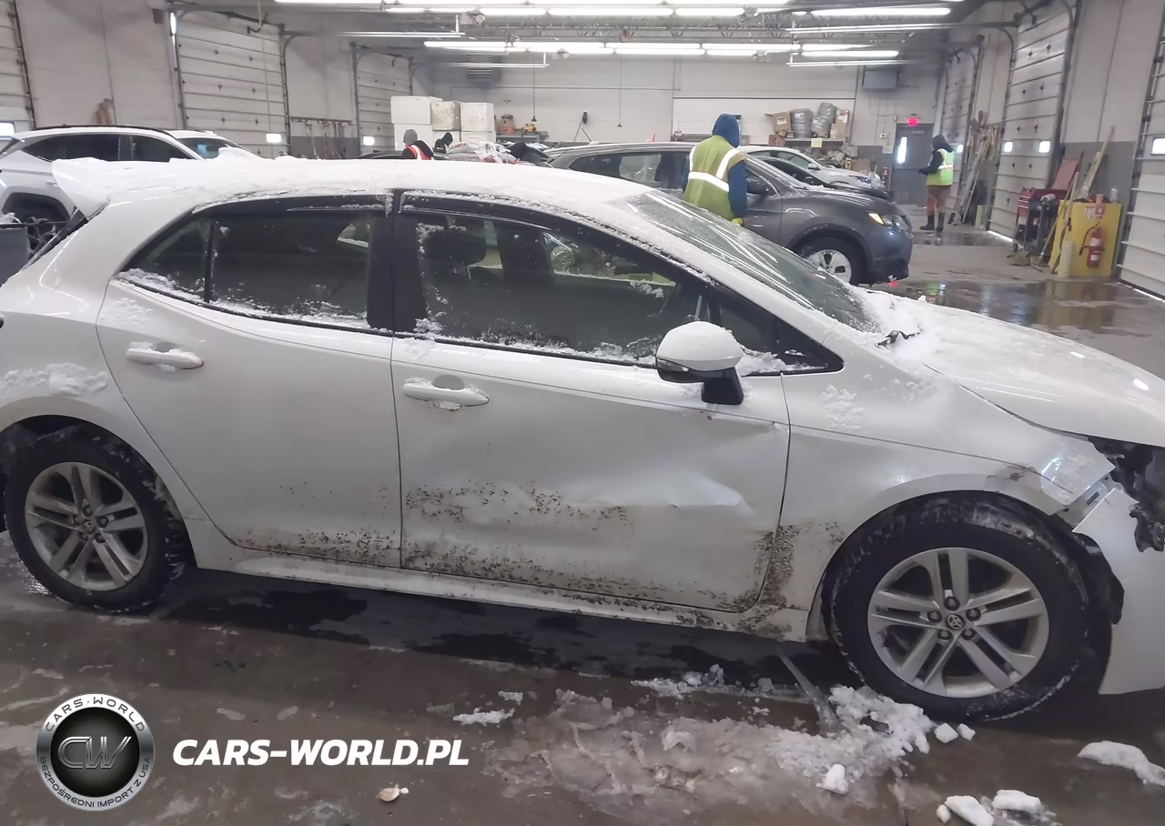 2019 Toyota Corolla Se VIN:JTNK4RBE3K3009525 - 13