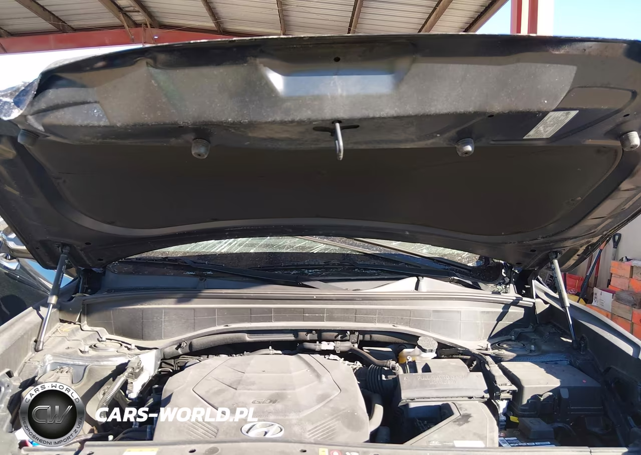 2022 Hyundai Palisade Sel VIN:KM8R4DHE0NU436295 - 10