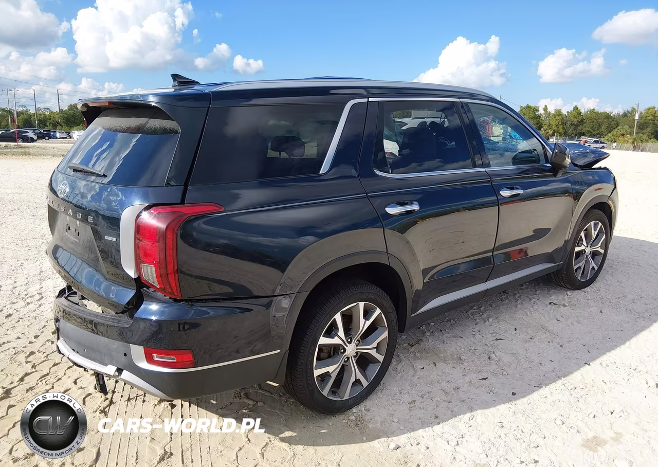 2022 Hyundai Palisade Sel VIN:KM8R4DHE0NU436295 - 4