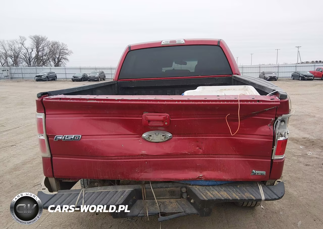 2010 Ford F-150 Fx4-Harley-Davidson-King Ranch-Lariat-Platinum-Xl-Xlt VIN:1FTFW1EV8AKE34501 - 16
