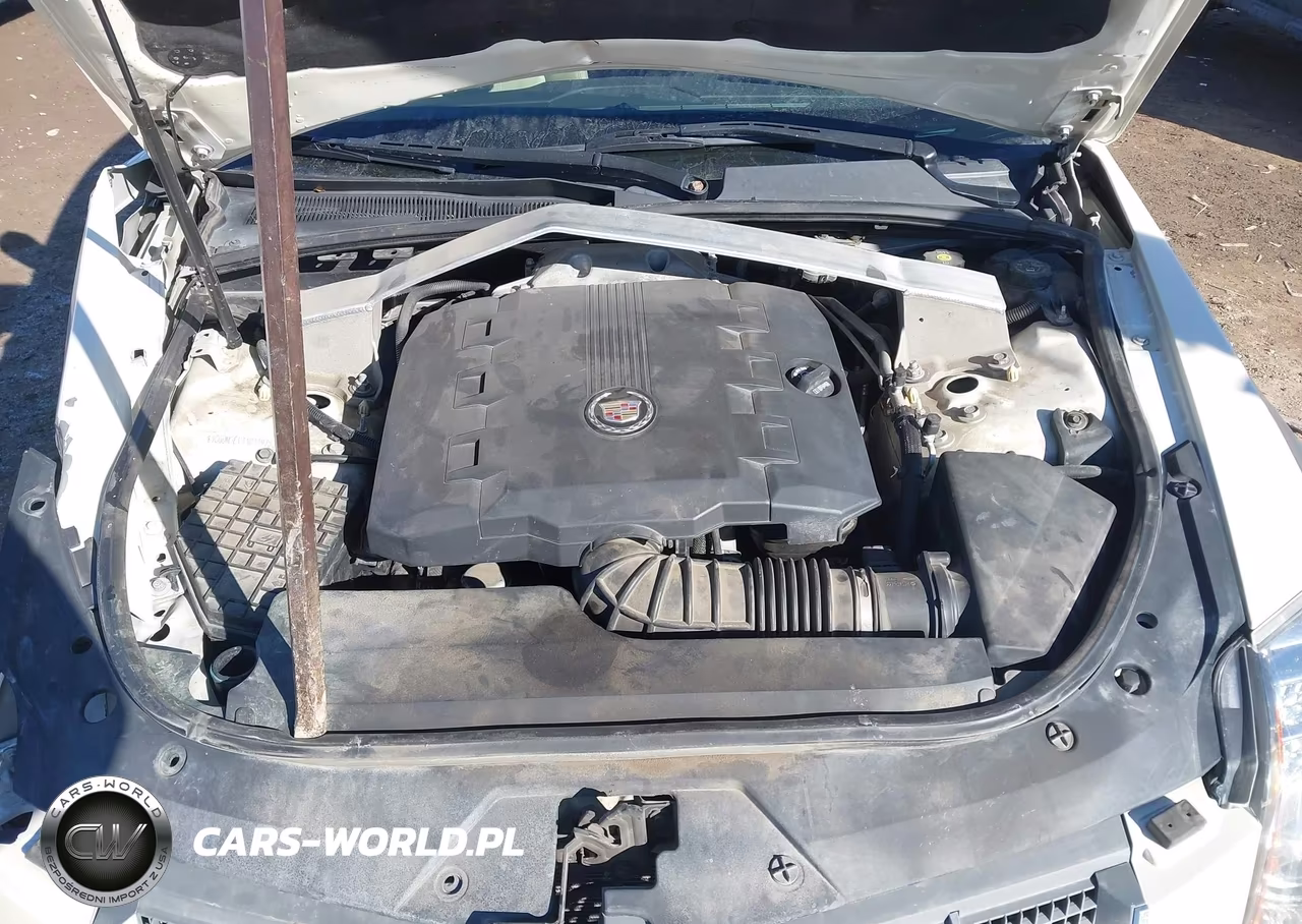 2010 Cadillac Cts Standard VIN:1G6DM5EV1A0119753 - 10