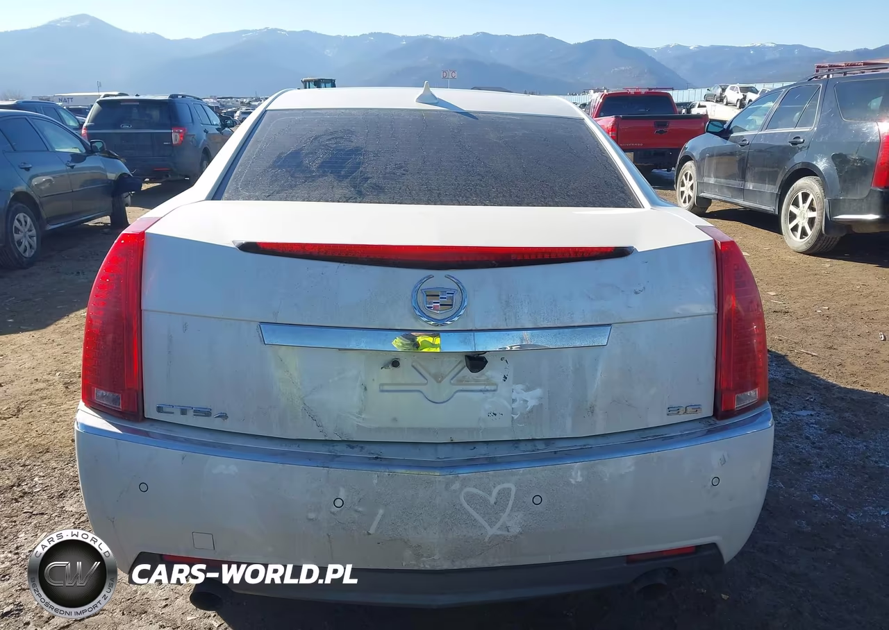 2010 Cadillac Cts Standard VIN:1G6DM5EV1A0119753 - 17