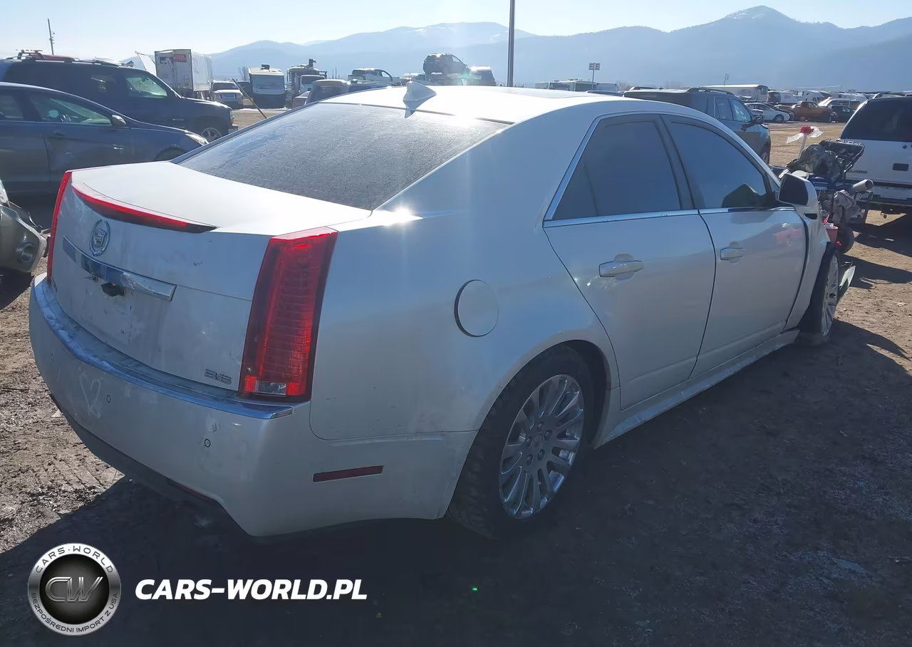 2010 Cadillac Cts Standard VIN:1G6DM5EV1A0119753 - 4