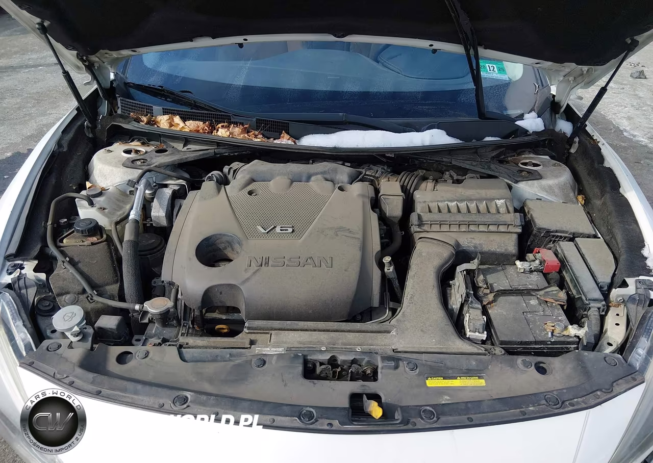 2016 Nissan Maxima 3.5 Sr VIN:1N4AA6APXGC902329 - 10