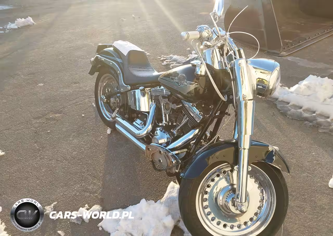 2009 Harley-Davidson Flstf