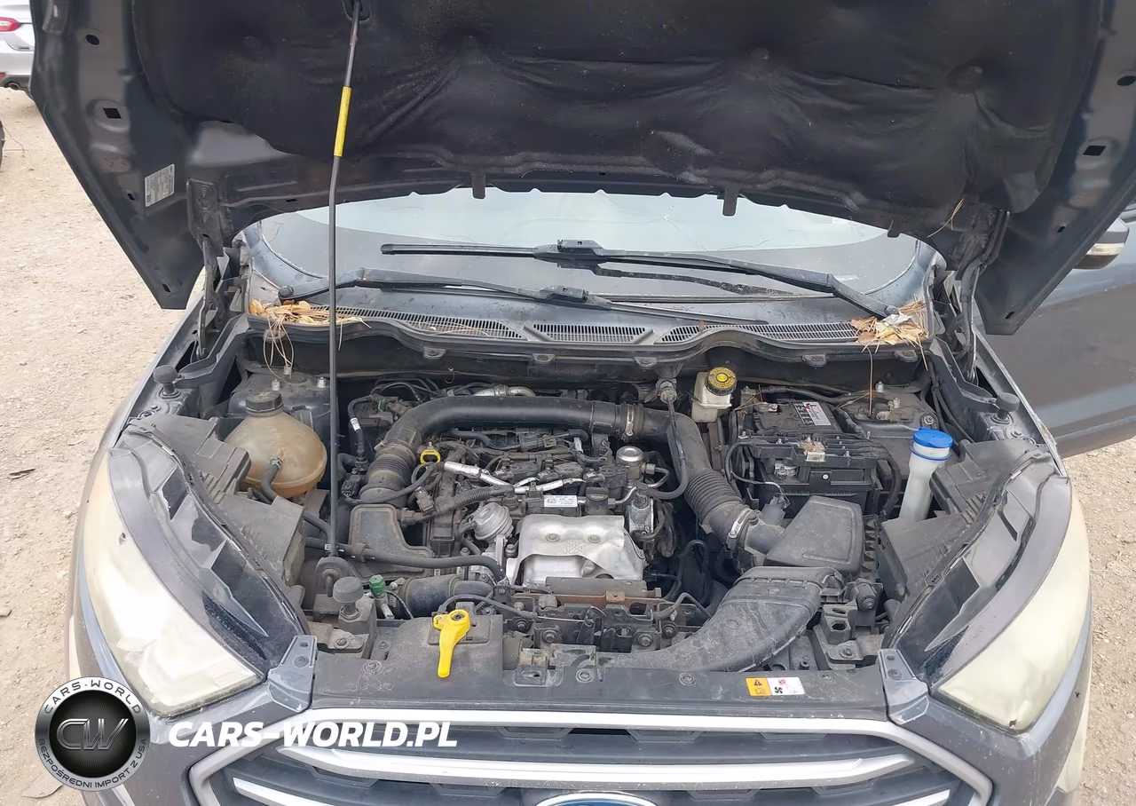 2018 Ford Ecosport Se VIN:MAJ3P1TE7JC227746 - 10