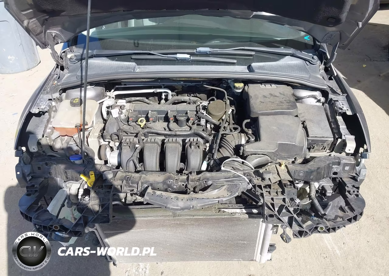 2014 Ford Focus Titanium VIN:1FADP3J24EL138750 - 10