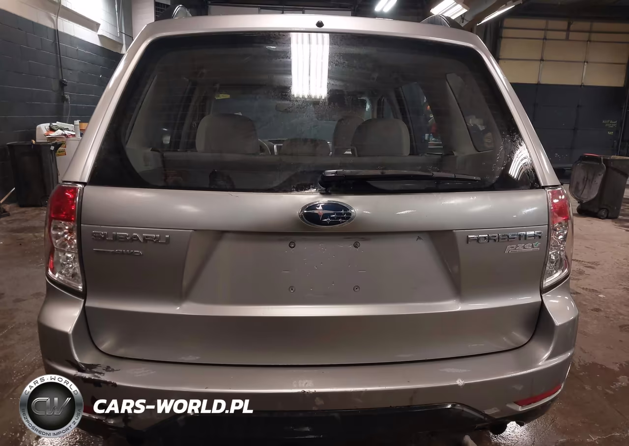 2010 Subaru Forester 2.5X VIN:JF2SH6BC1AH768375 - 17