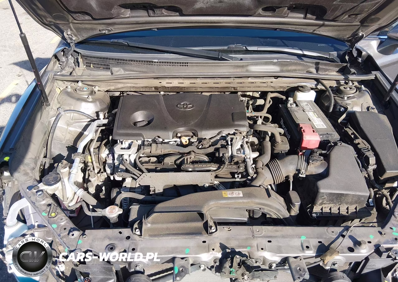 2019 Toyota Camry Le VIN:4T1B11HK3KU754406 - 10