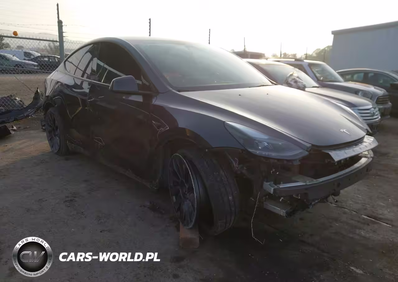 2024 Tesla Model Y Performance Dual Motor All-Wheel Drive