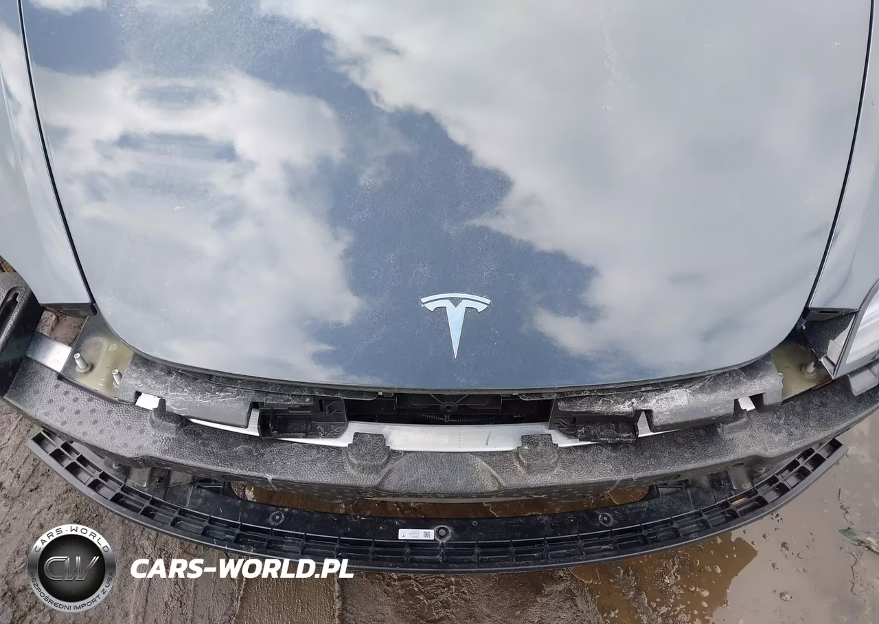 2025 Tesla Model 3 Long Range Rear-Wheel Drive-Standard Rear-Wheel Drive VIN:5YJ3E1EA0SF024261 - 10