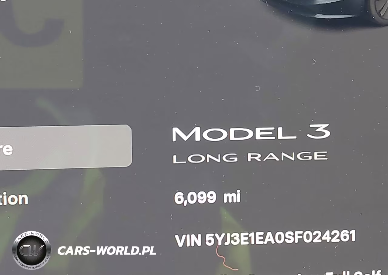 2025 Tesla Model 3 Long Range Rear-Wheel Drive-Standard Rear-Wheel Drive VIN:5YJ3E1EA0SF024261 - 16