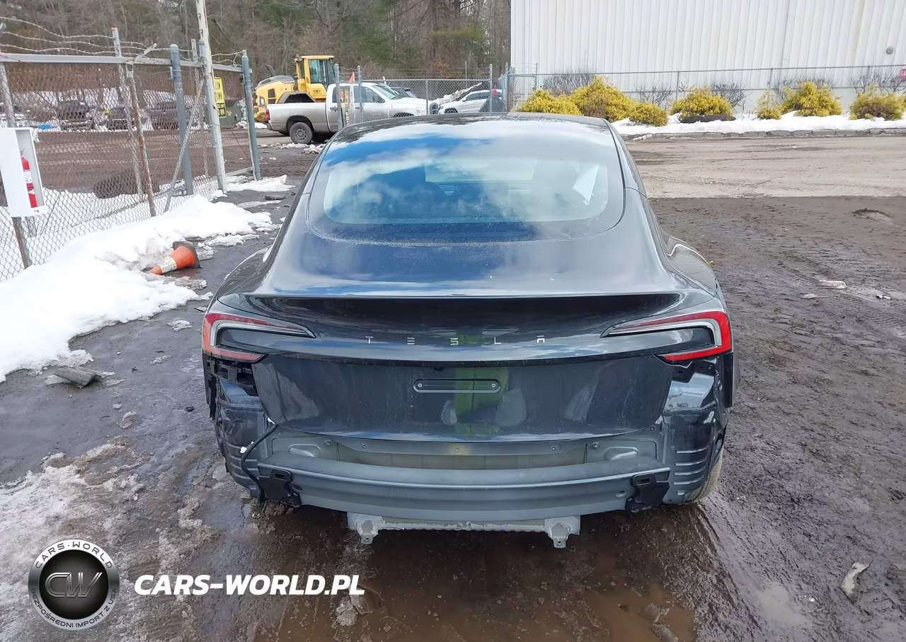 2025 Tesla Model 3 Long Range Rear-Wheel Drive-Standard Rear-Wheel Drive VIN:5YJ3E1EA0SF024261 - 17