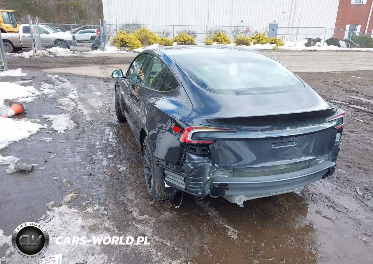 2025 Tesla Model 3 Long Range Rear-Wheel Drive-Standard Rear-Wheel Drive VIN:5YJ3E1EA0SF024261 - 3