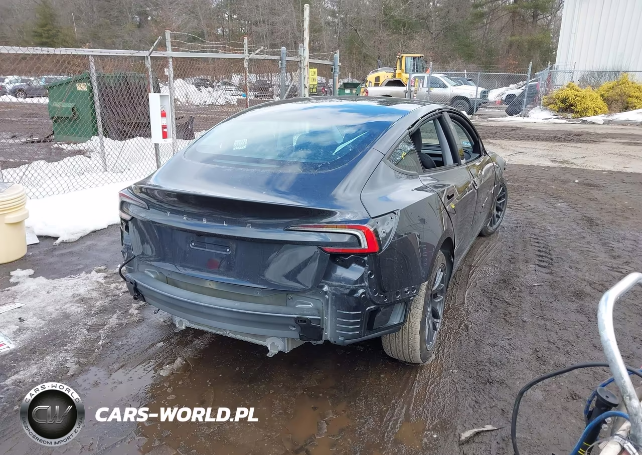 2025 Tesla Model 3 Long Range Rear-Wheel Drive-Standard Rear-Wheel Drive VIN:5YJ3E1EA0SF024261 - 4