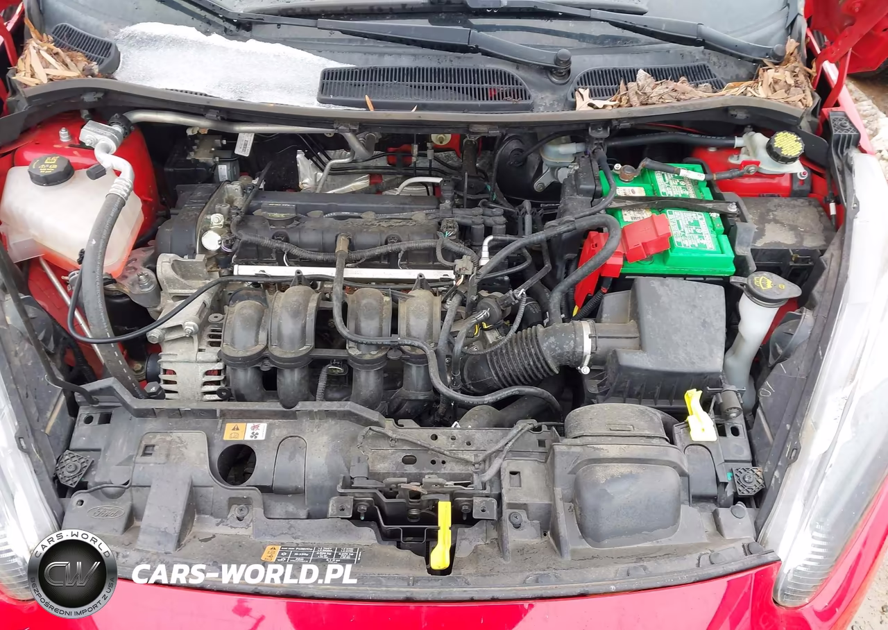 2015 Ford Fiesta Se VIN:3FADP4BJ0FM150695 - 10