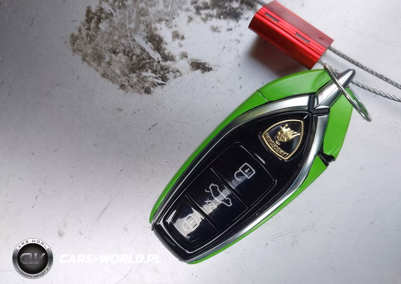 2024 Lamborghini Urus Performante VIN:ZPBUC3ZLXRLA34314 - 11
