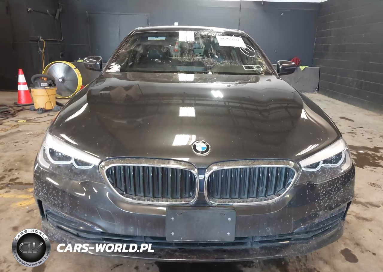 2019 BMW 530I xDrive VIN:WBAJA7C55KG909943 - 12