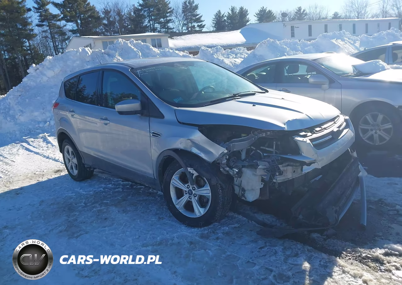 2014 Ford Escape Se