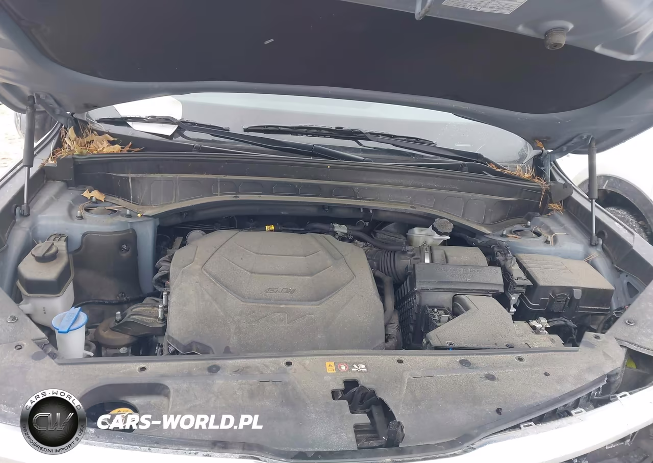 2022 Kia Telluride Ex VIN:5XYP3DHC7NG307100 - 10