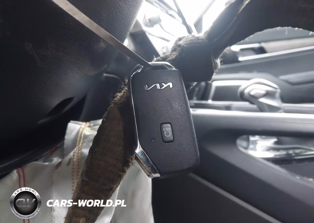2022 Kia Telluride Ex VIN:5XYP3DHC7NG307100 - 11