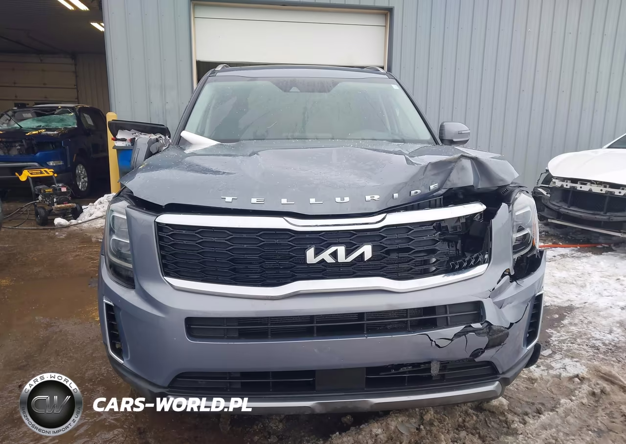 2022 Kia Telluride Ex VIN:5XYP3DHC7NG307100 - 12