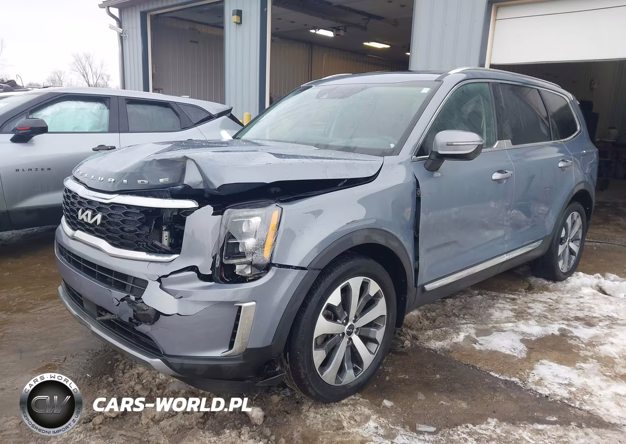 2022 Kia Telluride Ex VIN:5XYP3DHC7NG307100 - 2