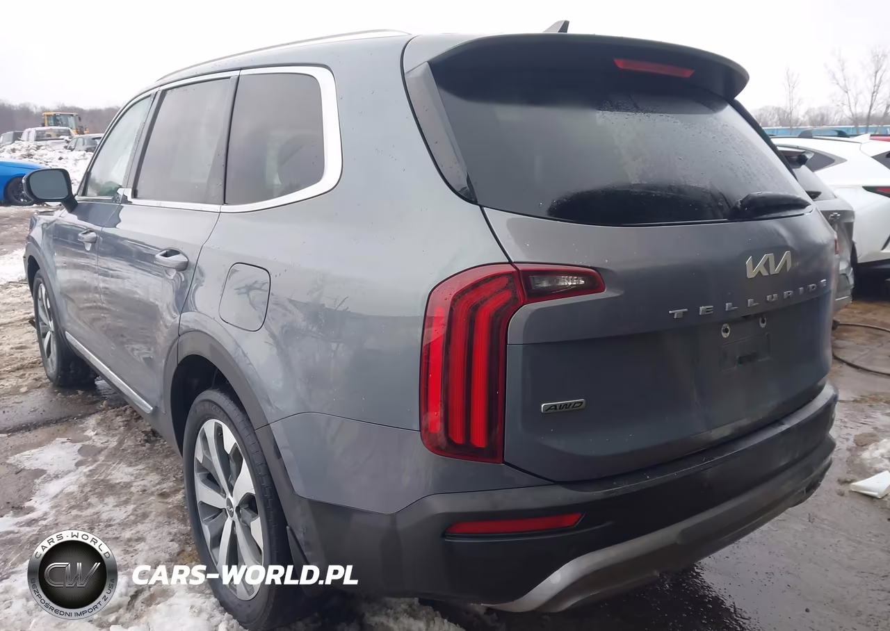 2022 Kia Telluride Ex VIN:5XYP3DHC7NG307100 - 3