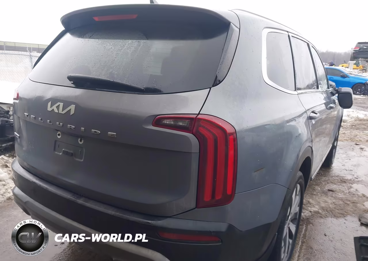 2022 Kia Telluride Ex VIN:5XYP3DHC7NG307100 - 4
