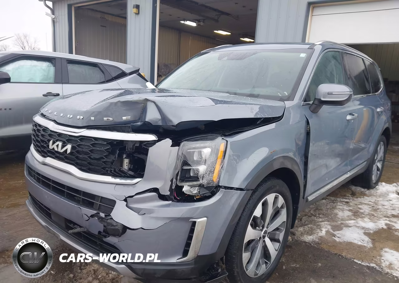 2022 Kia Telluride Ex VIN:5XYP3DHC7NG307100 - 6