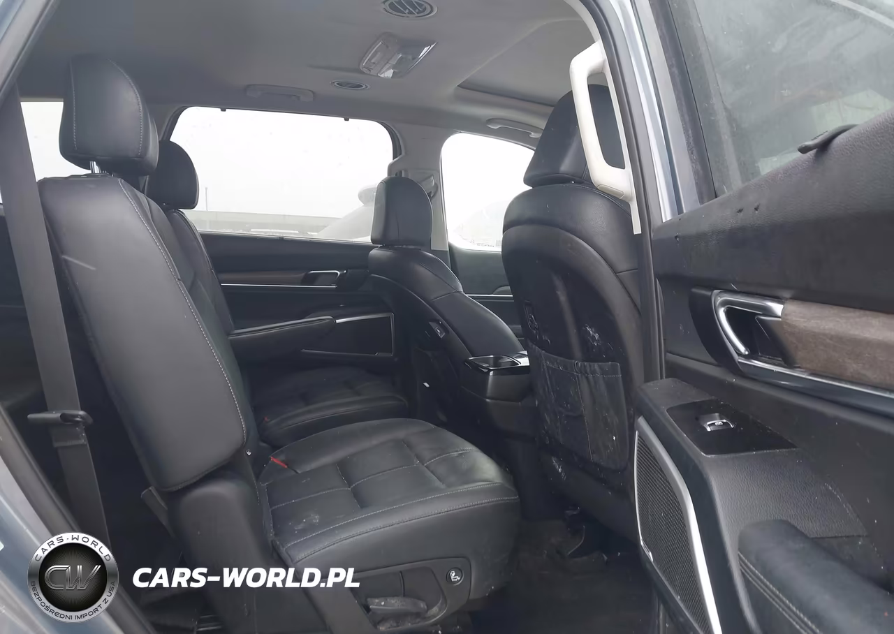 2022 Kia Telluride Ex VIN:5XYP3DHC7NG307100 - 8