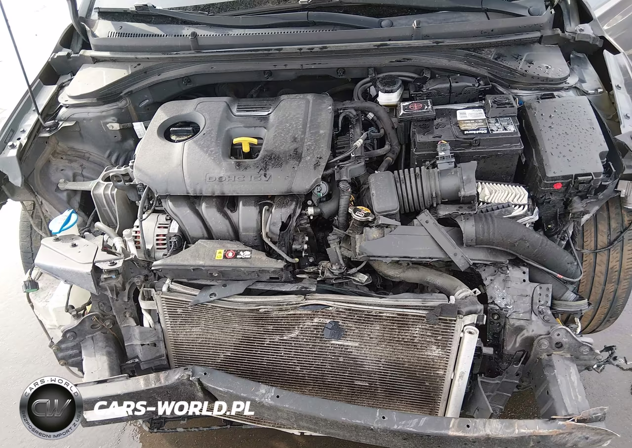 2020 Hyundai Elantra Limited VIN:5NPD84LF7LH524223 - 10