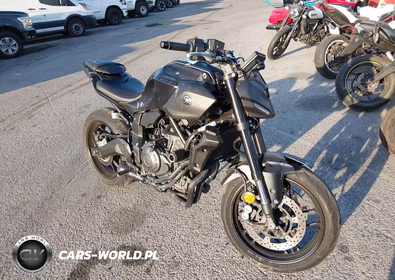 2025 Yamaha Mtn690 C