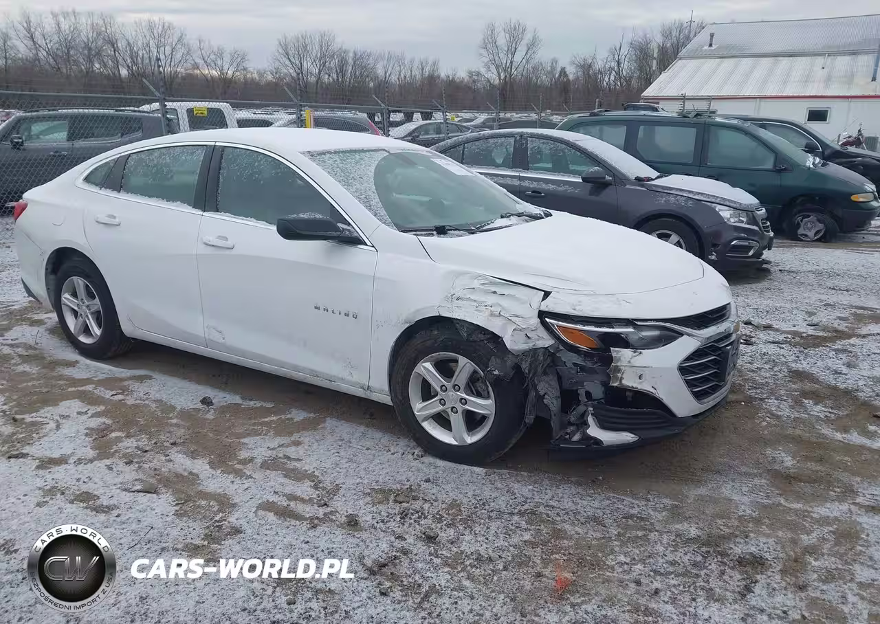2019 Chevrolet Malibu 1Fl