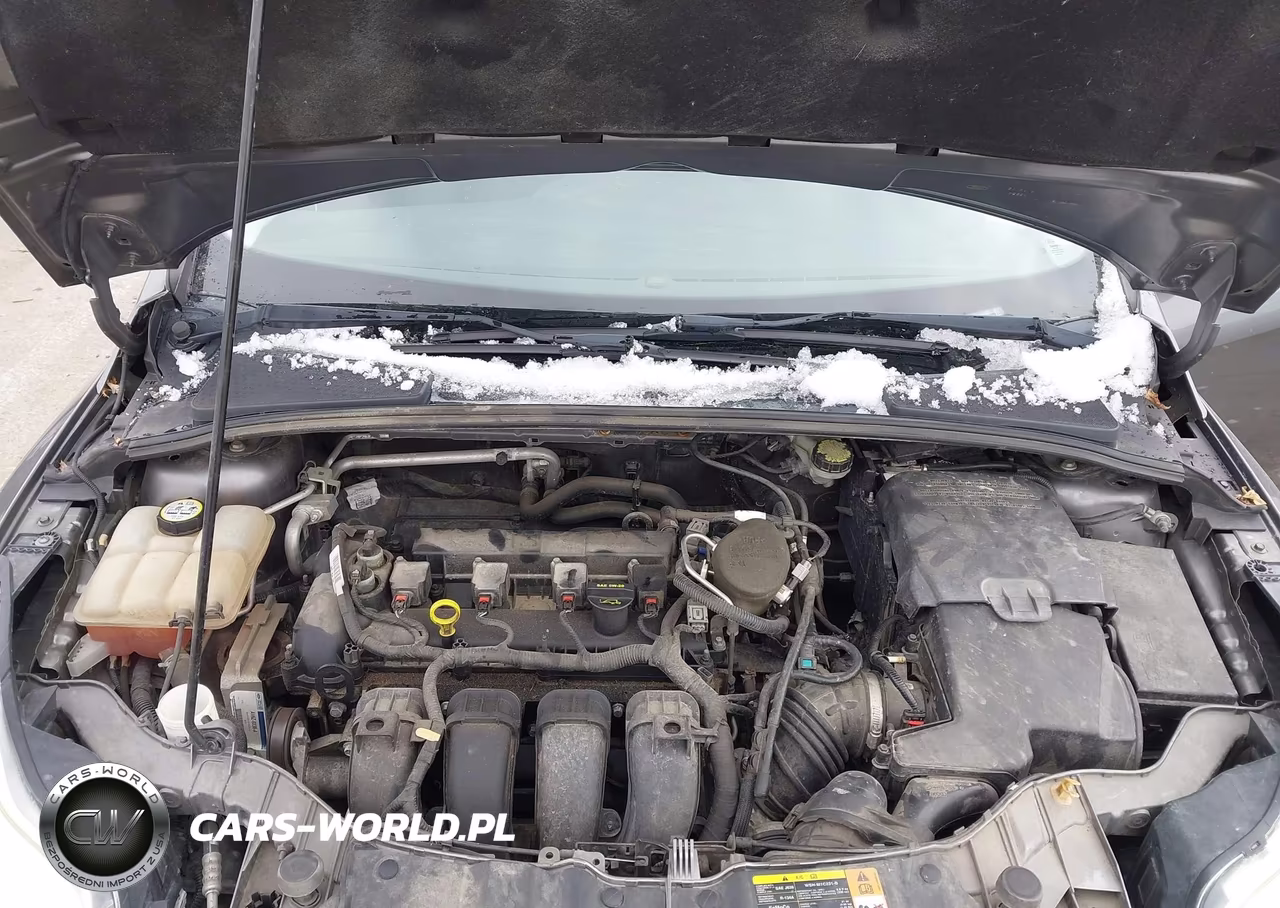 2013 Ford Focus Se VIN:1FADP3K22DL344582 - 10