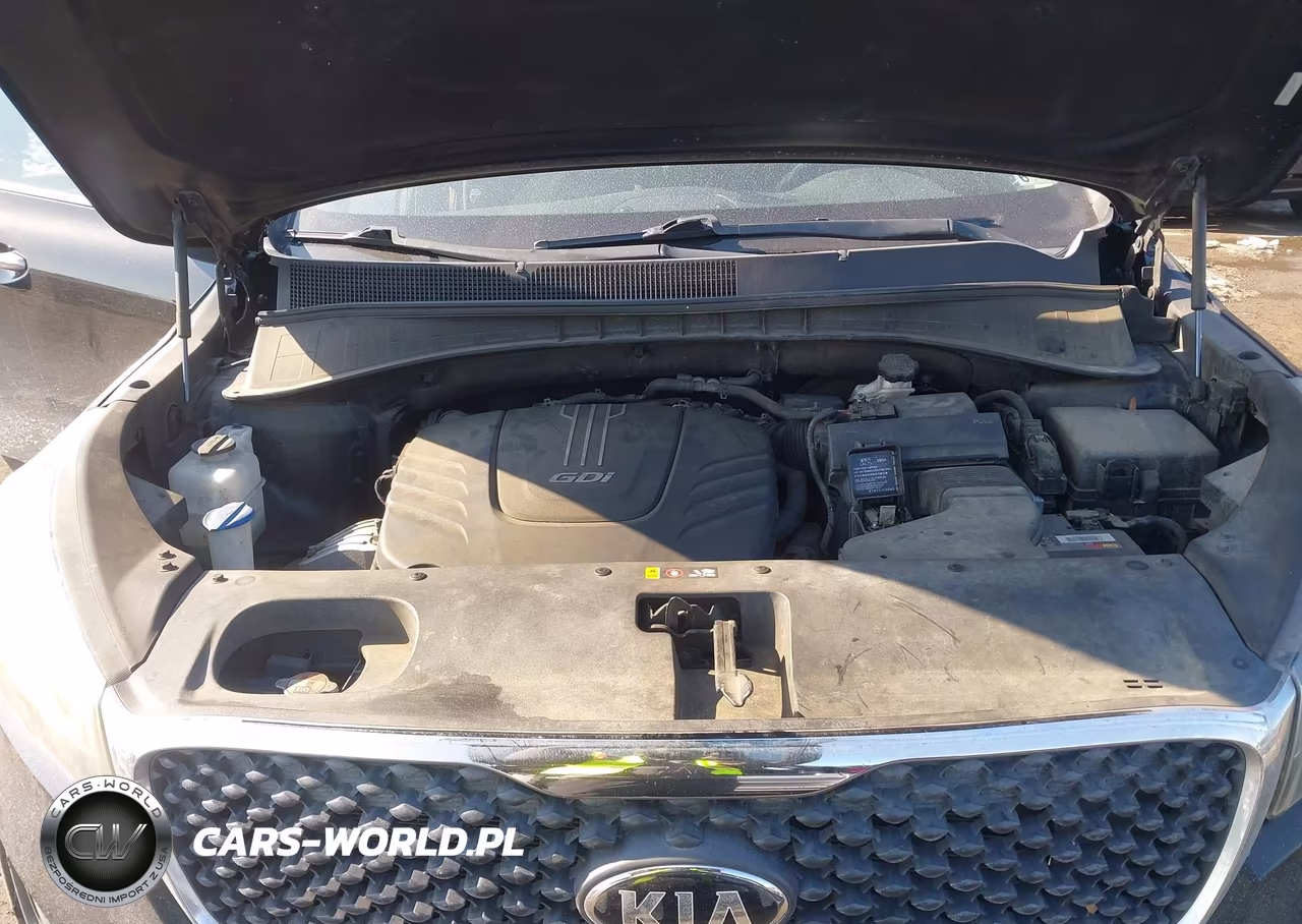 2016 Kia Sorento 3.3L Lx VIN:5XYPG4A51GG079324 - 10