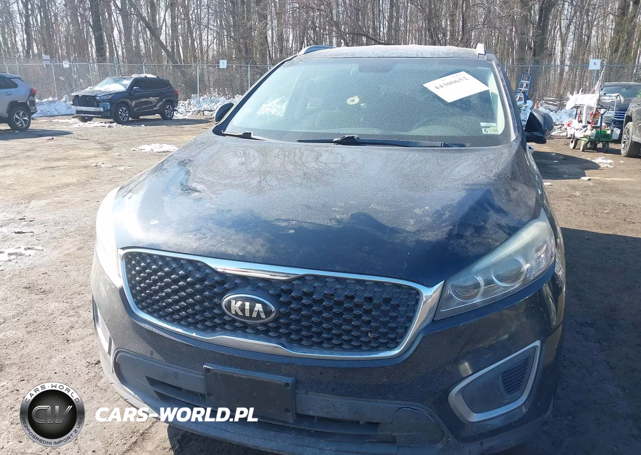 2016 Kia Sorento 3.3L Lx VIN:5XYPG4A51GG079324 - 12