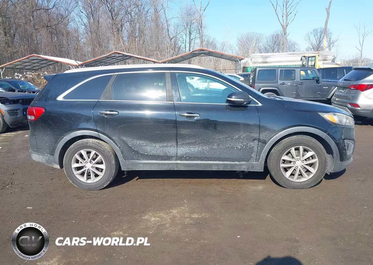 2016 Kia Sorento 3.3L Lx VIN:5XYPG4A51GG079324 - 13
