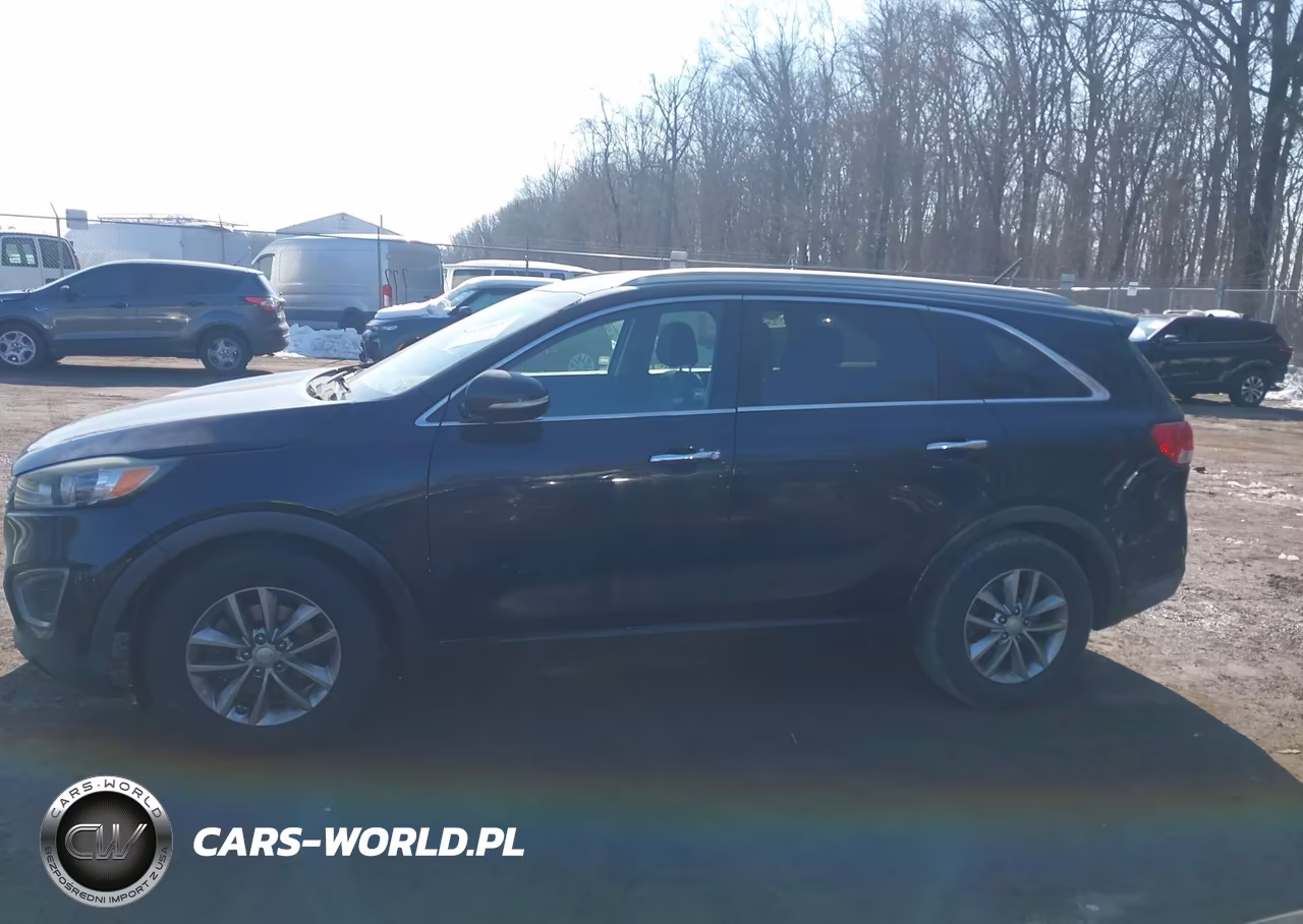 2016 Kia Sorento 3.3L Lx VIN:5XYPG4A51GG079324 - 14