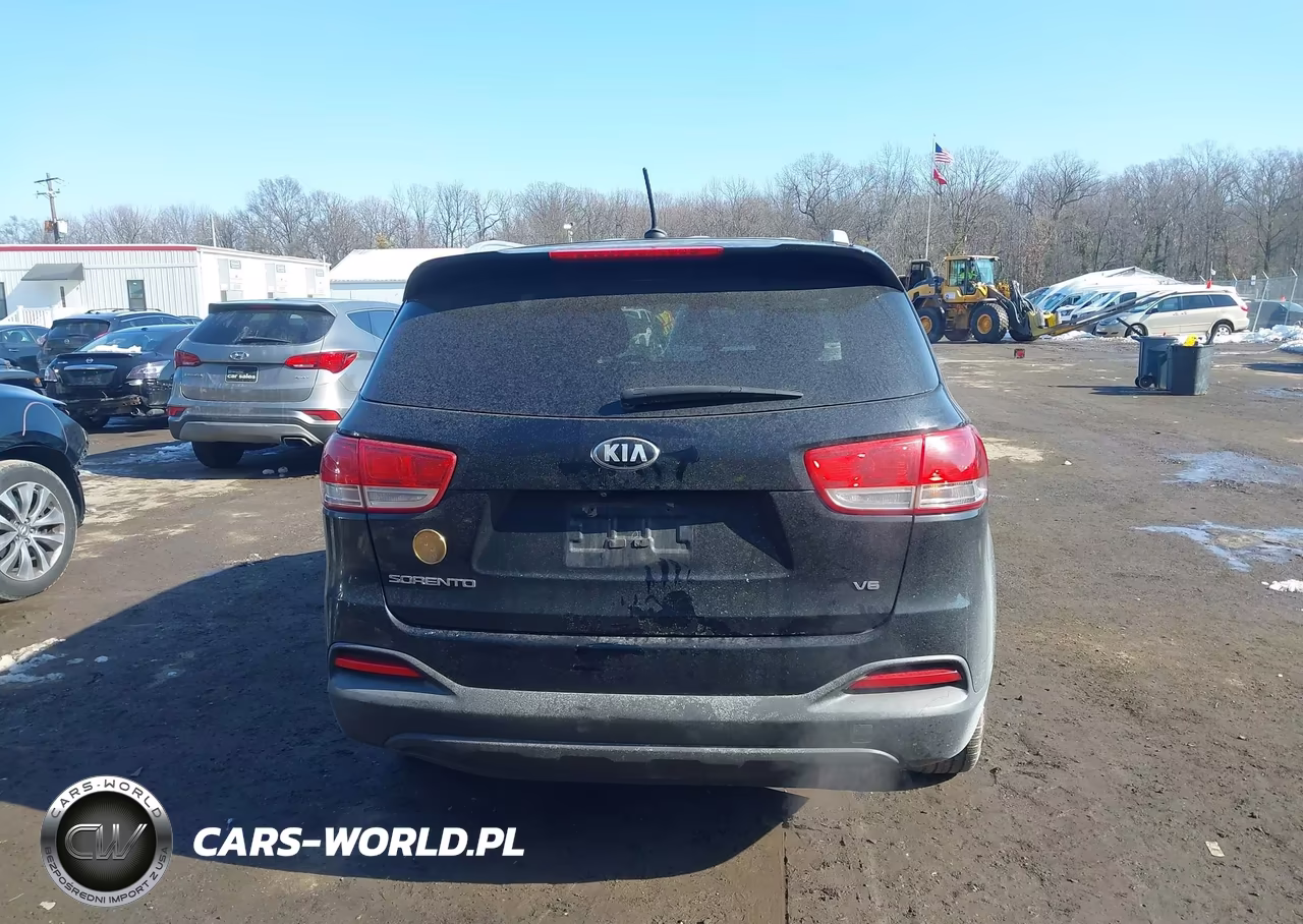 2016 Kia Sorento 3.3L Lx VIN:5XYPG4A51GG079324 - 16