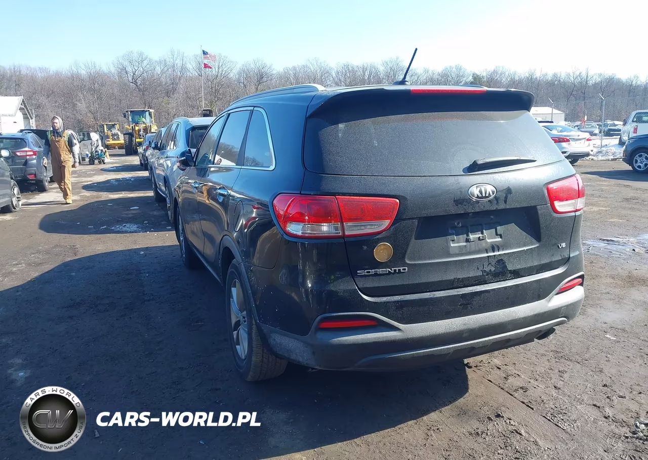 2016 Kia Sorento 3.3L Lx VIN:5XYPG4A51GG079324 - 3