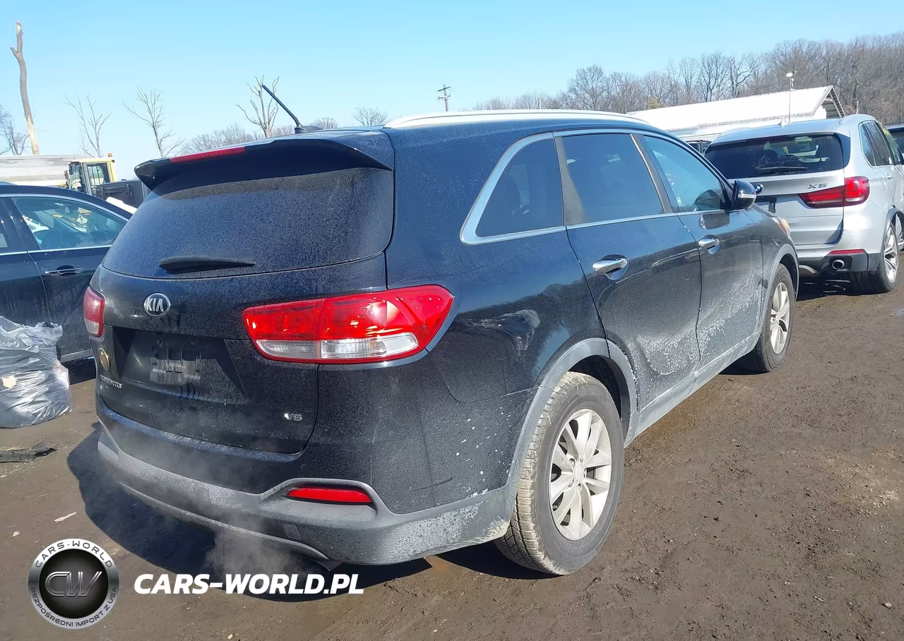 2016 Kia Sorento 3.3L Lx VIN:5XYPG4A51GG079324 - 4