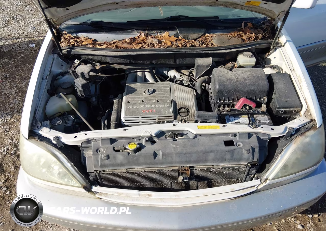 2003 Lexus Rx 300 VIN:JTJHF10UX30310409 - 10