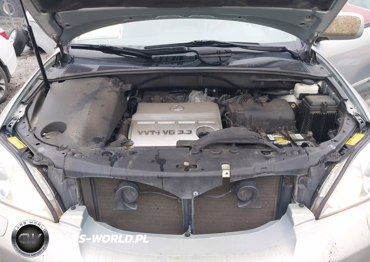 2004 Lexus Rx 330 VIN:2T2HA31U24C022222 - 10