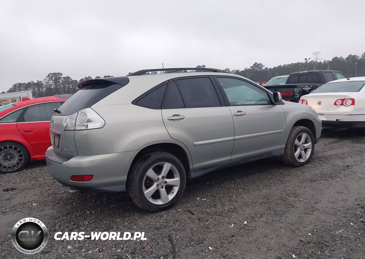 2004 Lexus Rx 330 VIN:2T2HA31U24C022222 - 13