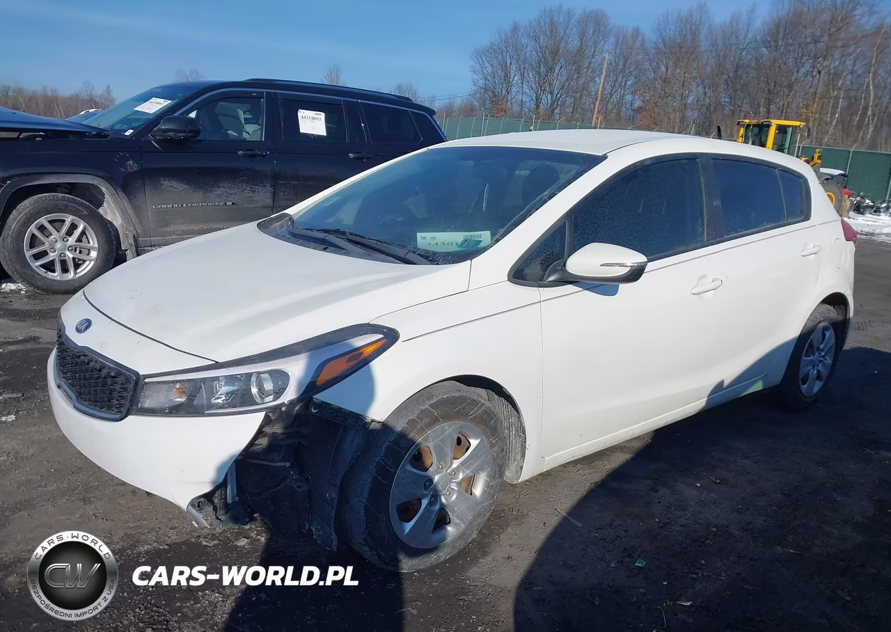 2017 Kia Forte Lx VIN:KNAFK5A82H5702516 - 2