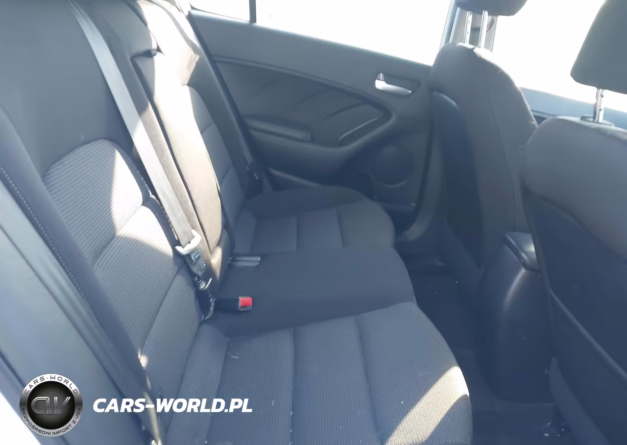 2017 Kia Forte Lx VIN:KNAFK5A82H5702516 - 8