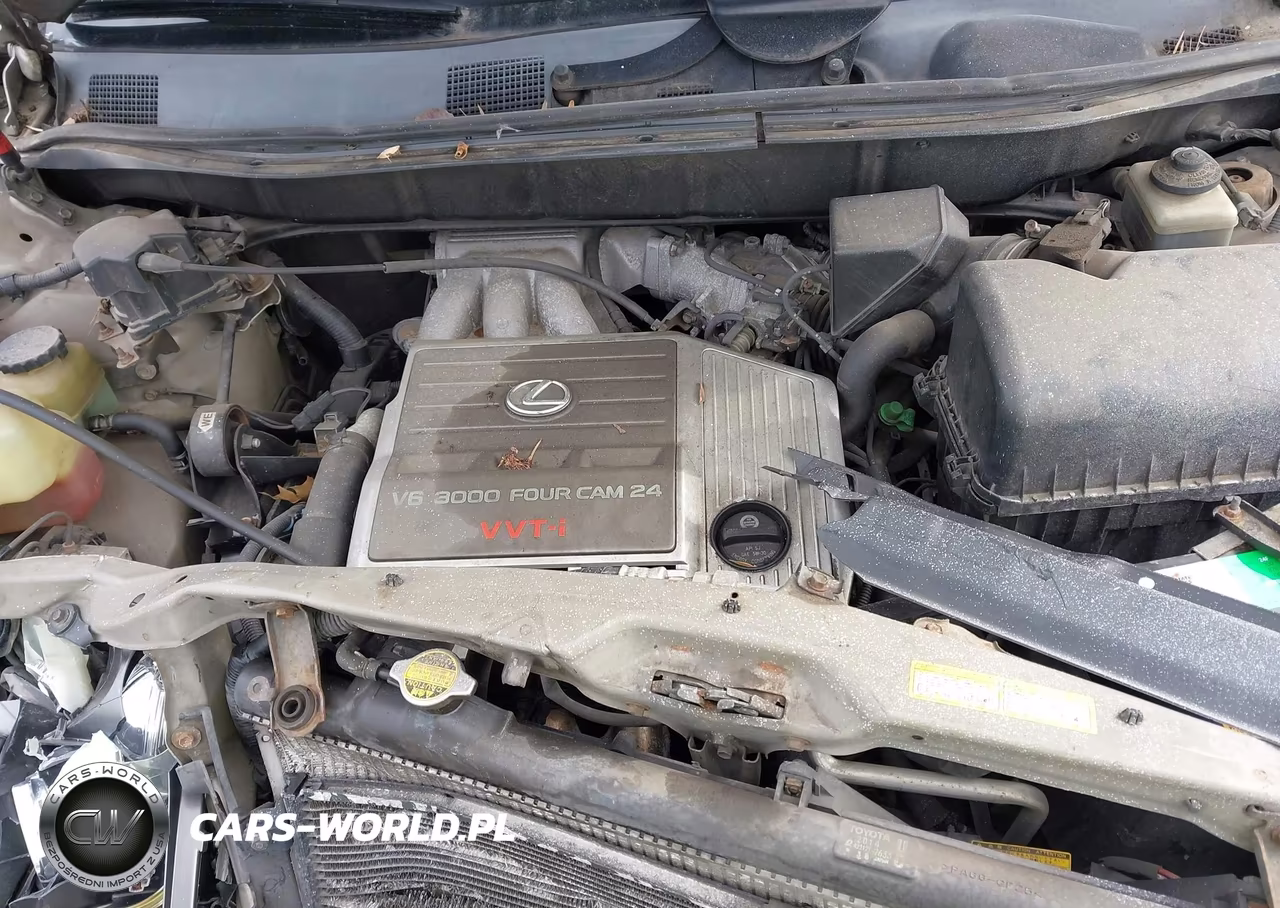2000 Lexus Rx 300 VIN:JT6HF10U5Y0142213 - 10