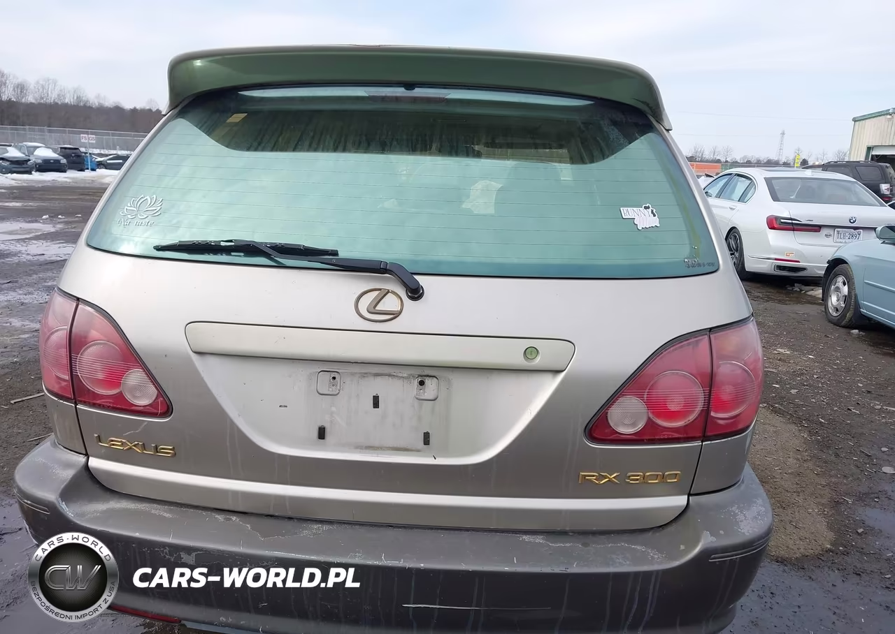 2000 Lexus Rx 300 VIN:JT6HF10U5Y0142213 - 16