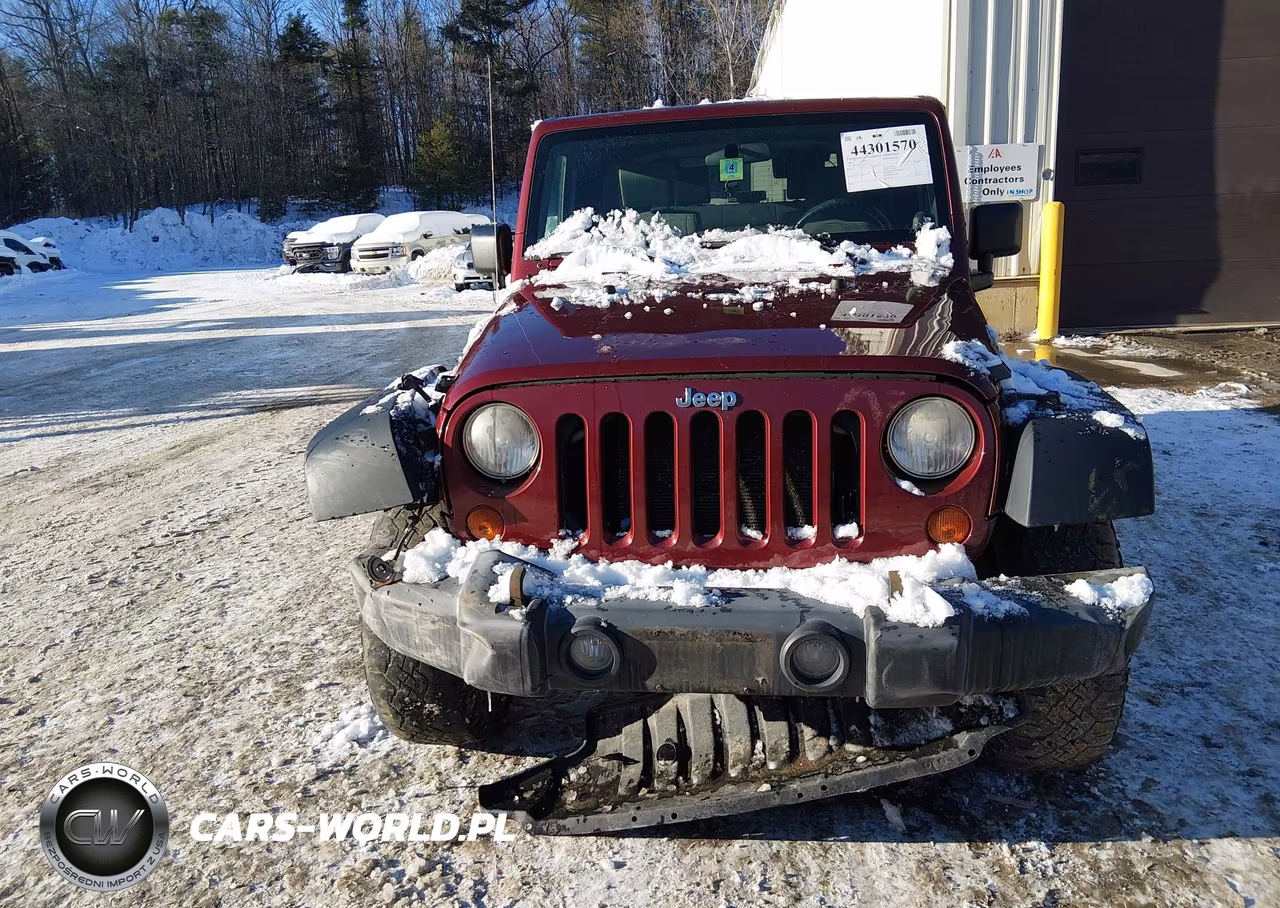 2009 Jeep Wrangler Rubicon VIN:1J4GA64139L727270 - 12
